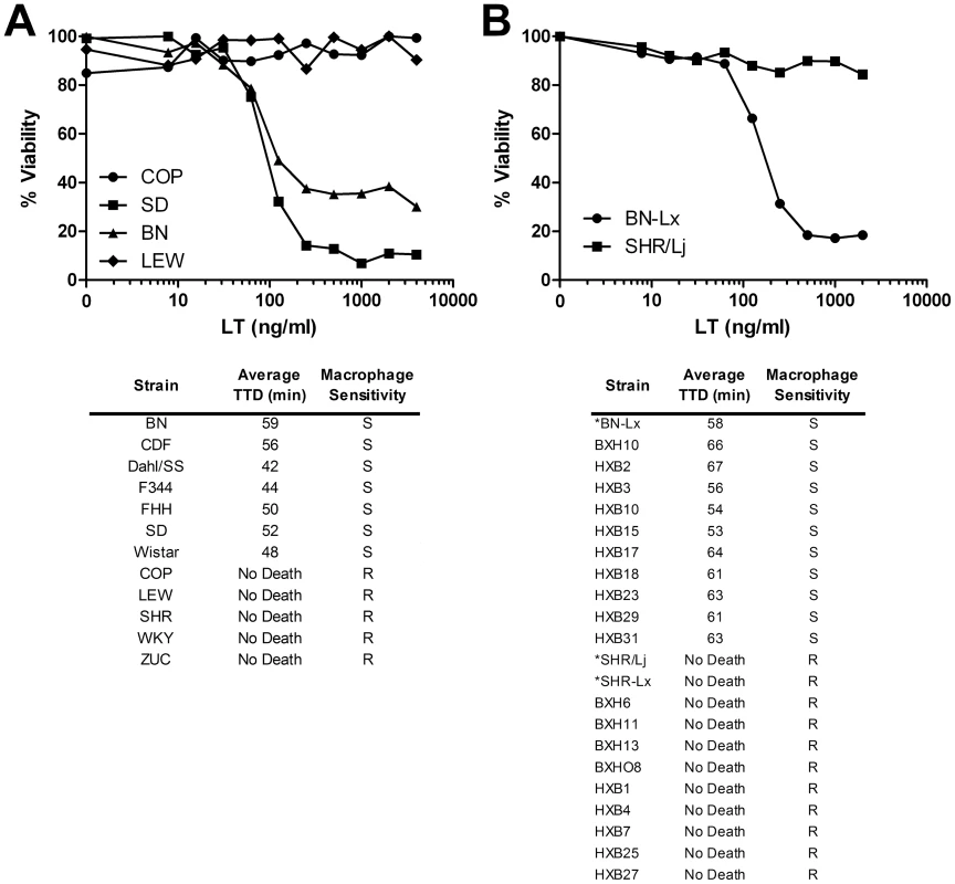 LT sensitivity in rat strains correlates perfectly with macrophage sensitivity.