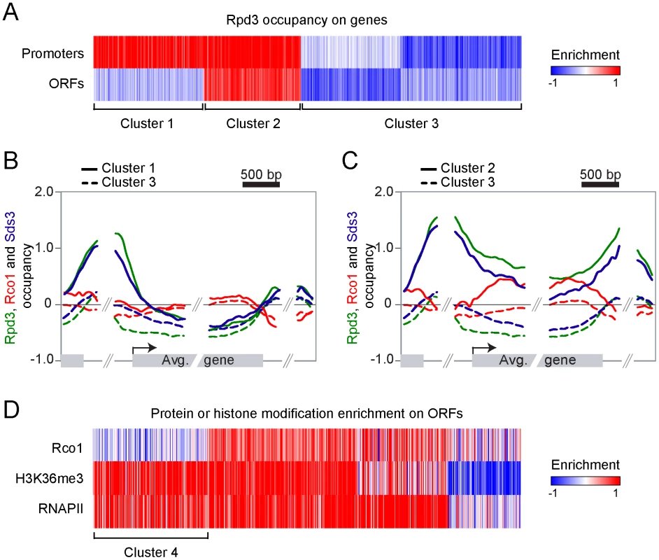 Rpd3S and Rpd3L target overlapping sets of genes.
