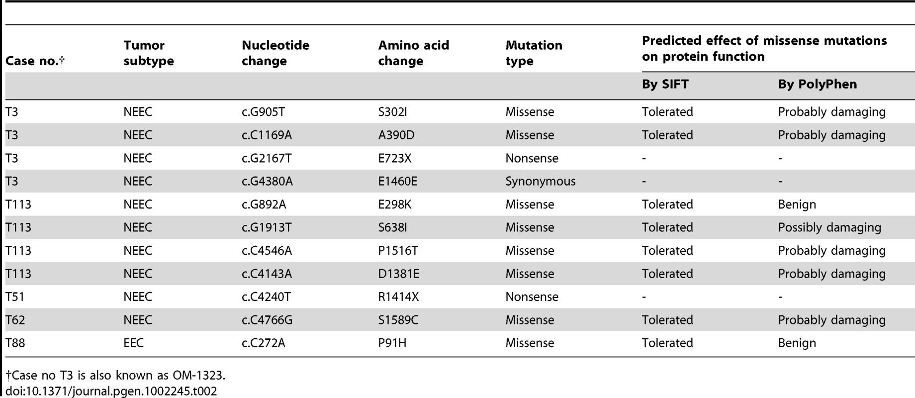 Somatic mutations of <i>ATAD5</i> were identified in primary human endometrial tumors.