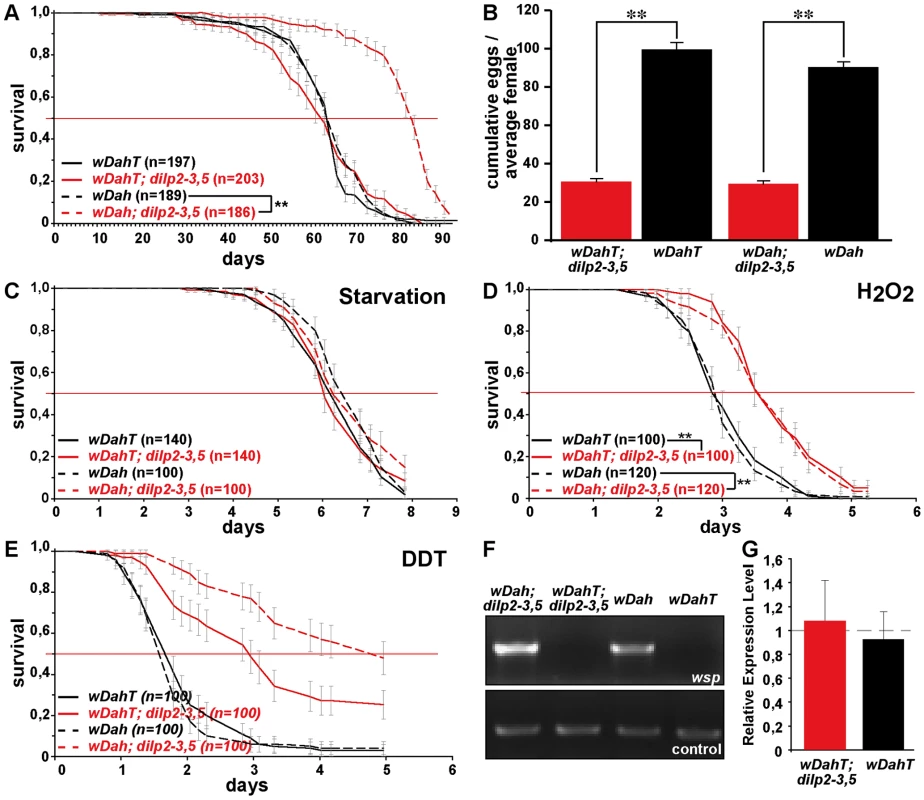<i>Wolbachia</i>-dependent lifespan extension of <i>dilp2–3,5</i> mutants is correlated with xenobiotic resistance.