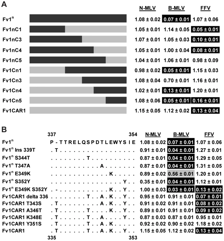 Mapping the determinants of FFV restriction by Fv1 from <i>M. m. caroli</i>.