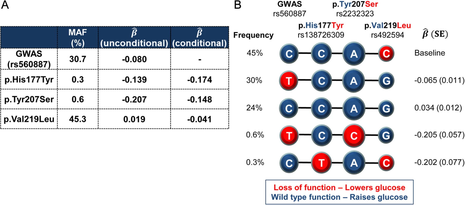 Haplotypes of the lead non-coding GWAS SNP rs560887 and the three coding variants.