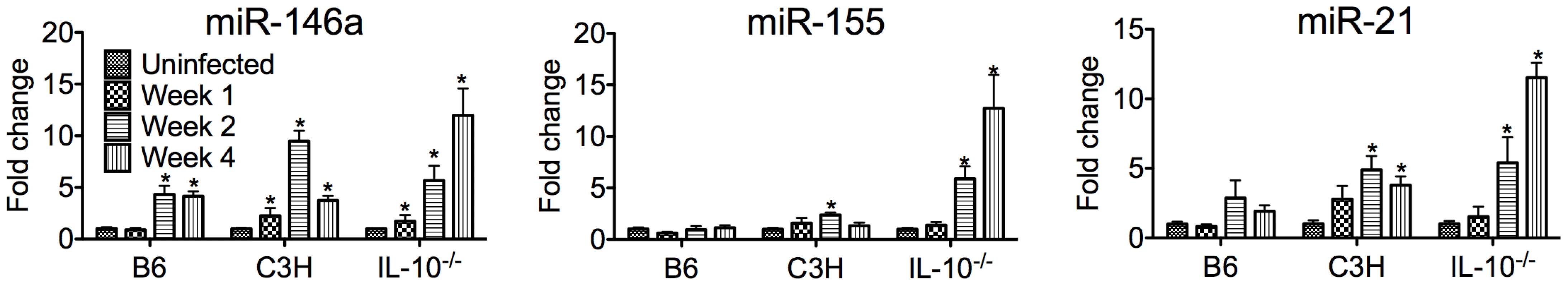 PCR validation of miRNA microarray results.