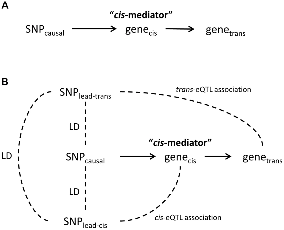 Theoretical framework for <i>cis</i>-mediation of <i>trans</i>-eQTLs.