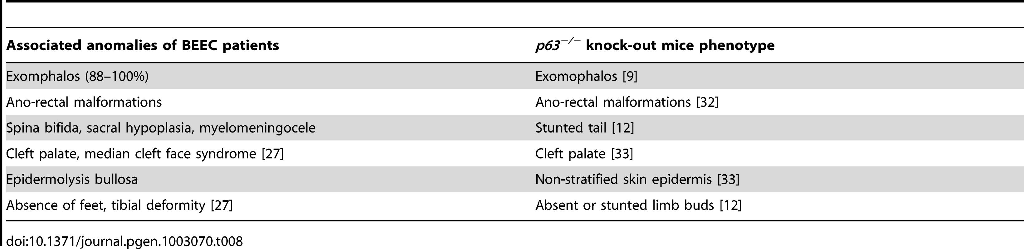 The associated anomalies of BEEC patients compared with the &lt;i&gt;p63&lt;sup&gt;−/−&lt;/sup&gt;&lt;/i&gt; mouse phenotype.