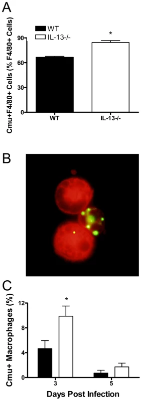 IL-13 deficiency enhances the uptake of <i>Chlamydia muridarum</i> (<i>Cmu</i>) by macrophages <i>in vitro</i> and <i>in vivo</i>.