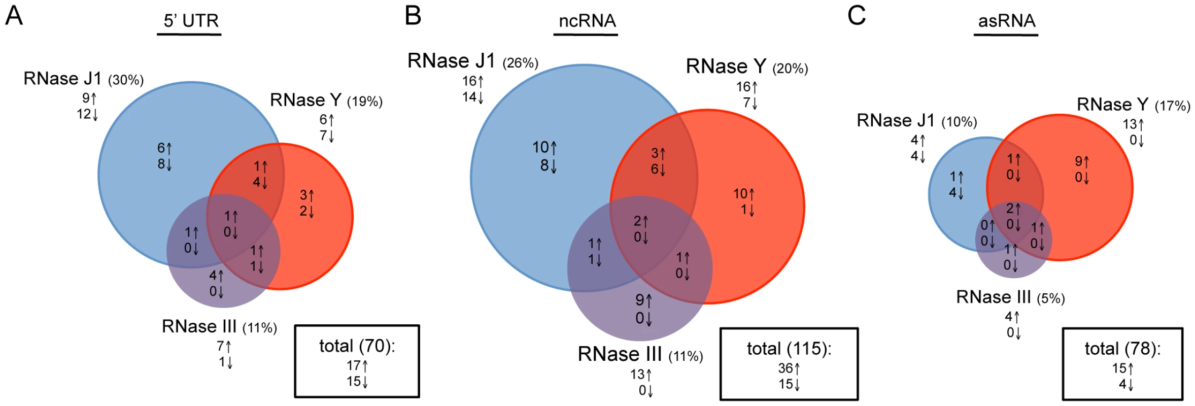 Effects of RNase J1, Y, and III depletion on abundance of <i>B. subtilis</i> regulatory RNAs.