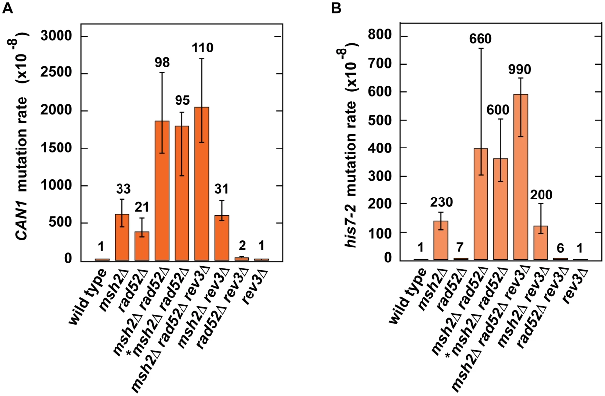 Effect of combining <i>msh2</i>Δ with <i>rad52</i>Δ on spontaneous mutagenesis.