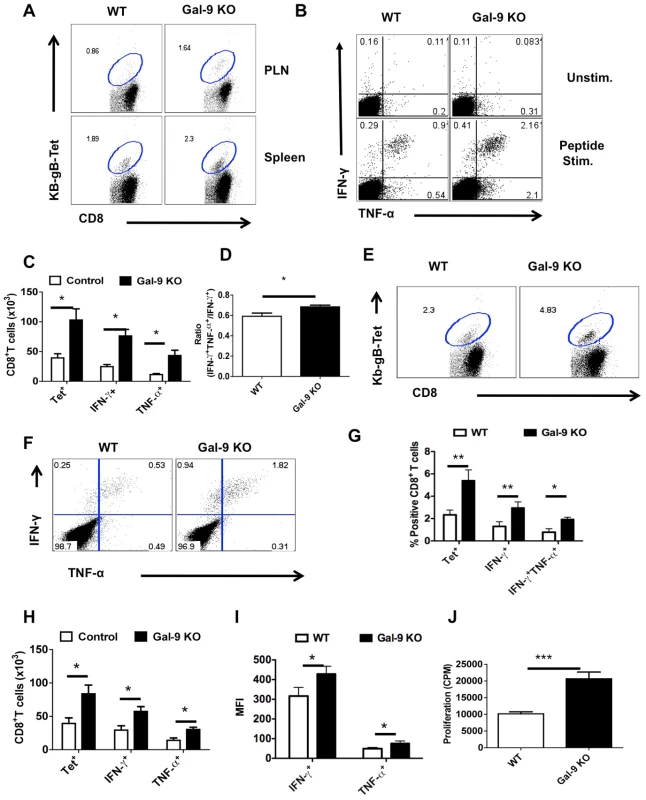 Galectin-9 KO animals develop sustained virus-specific CD8<sup>+</sup> T cells memory responses.