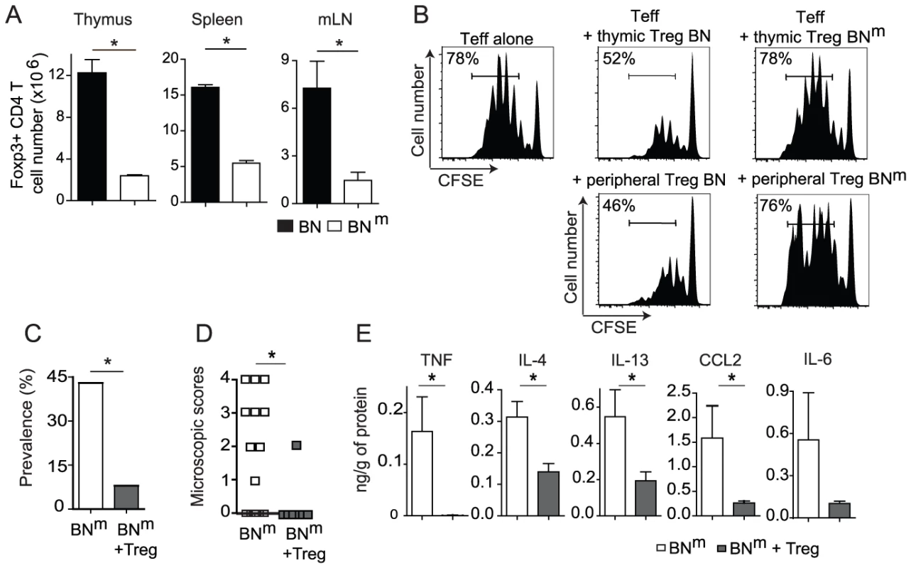 Impaired suppressive function of BN<sup>m</sup> Treg is involved in the development of intestinal lesions.