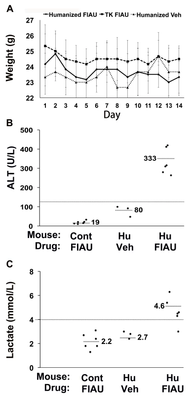 Liver toxicity develops in TK-NOG mice with humanized livers treated with 25 mg/kg/d FIAU.
