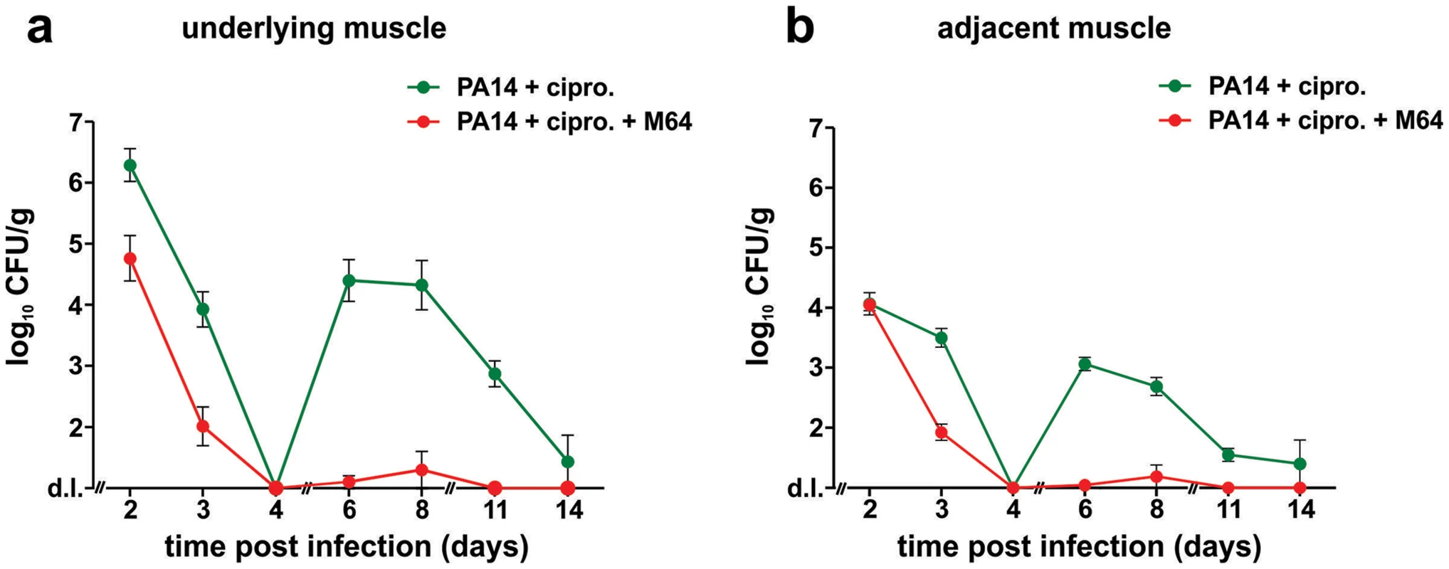 M64 inhibits <i>P. aeruginosa</i> persistence in the mouse burn and infection models.