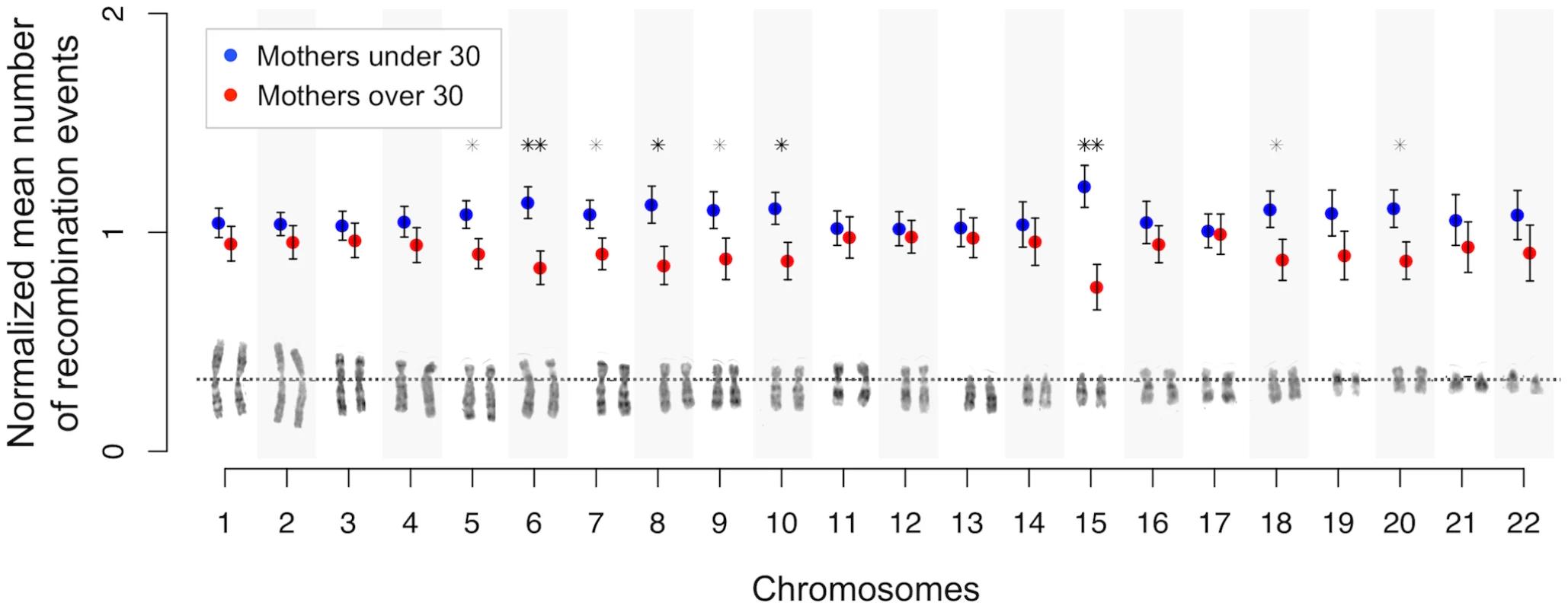 Chromosome-specific shifts in normalized means (and standard errors) of the number of maternal crossovers for mothers under and over 30 years of age.