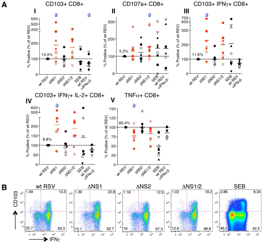The NS1 protein suppresses activation and proliferation of CD103+ CD8+ T cells.