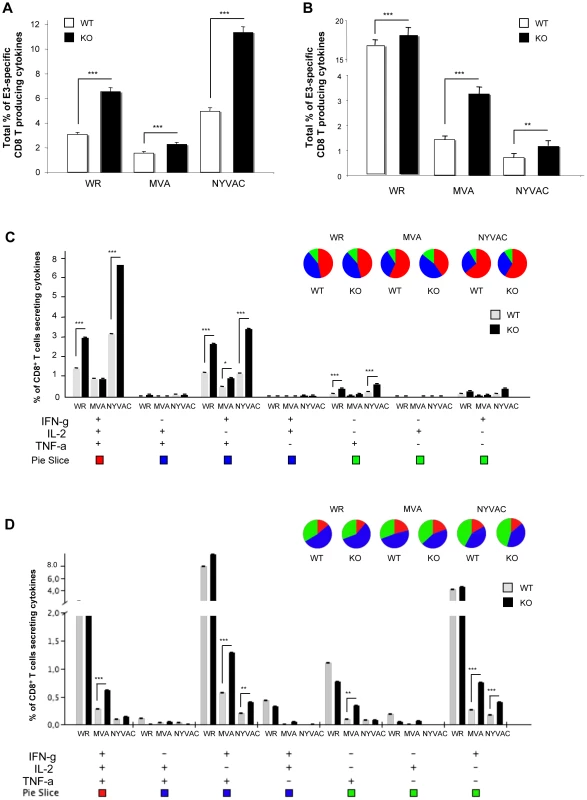 DUSP1 is involved in the regulation of adaptive immune response during VACV infection.