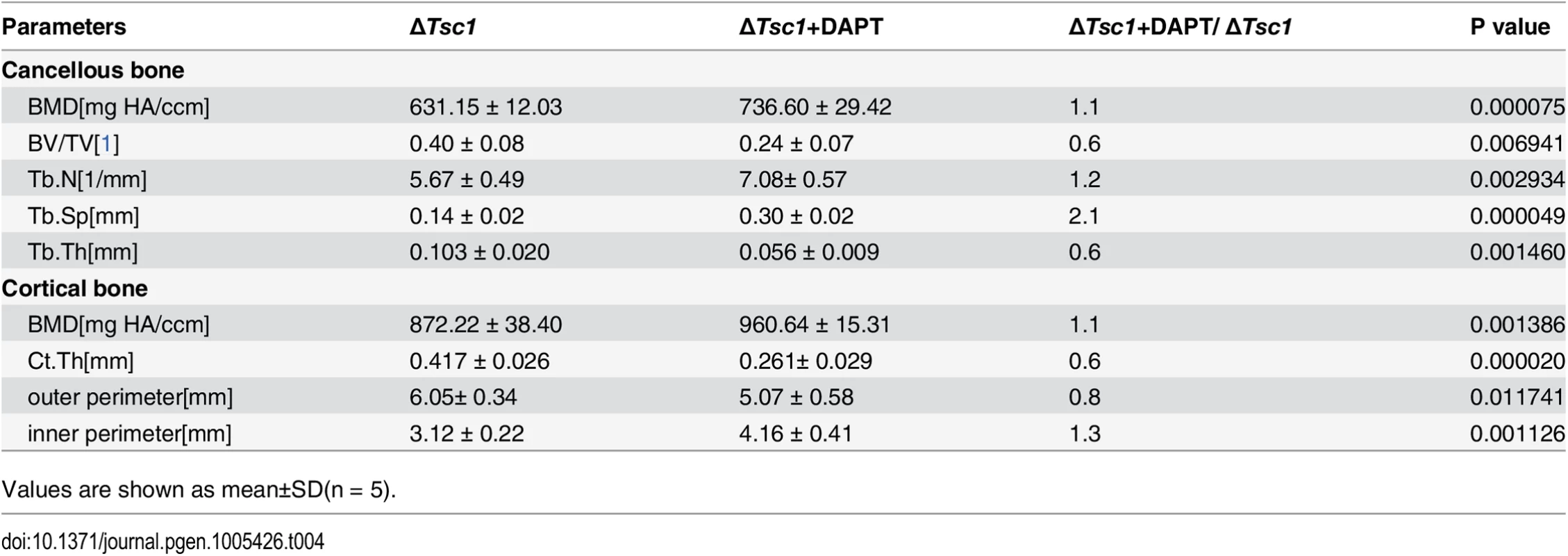 Micro CT analysis of DAPT-treated ΔTsc1 mice at 10 weeks of age.