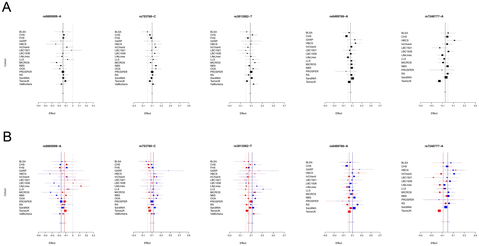 Forest plot of SNPs with gender-specific effects.