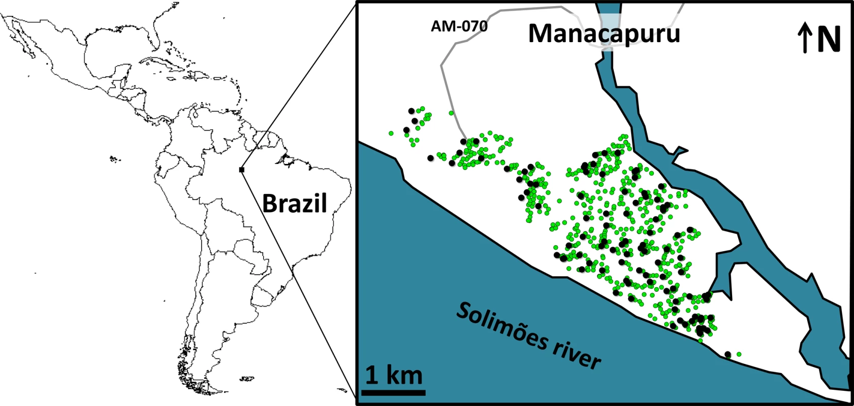Study site: the city of Manacapuru, state of Amazonas, Brazil.