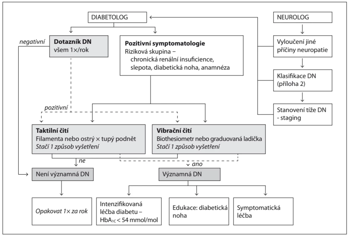 Schéma vyšetření DN v diabetologické ambulanci (zdroj: Lacigová a kol., 2016)