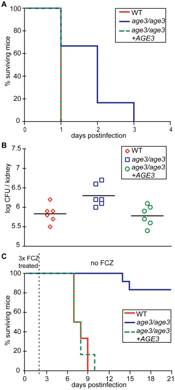 <i>age3</i> mutants are attenuated in virulence in A/J mice and FCZ treatment significantly extends survival of <i>age3</i>-infected A/J mice.
