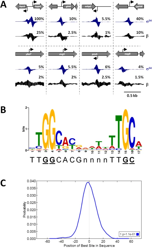 ChIP-seq identifies σ<sup>54</sup> binding sites on a genomic scale.