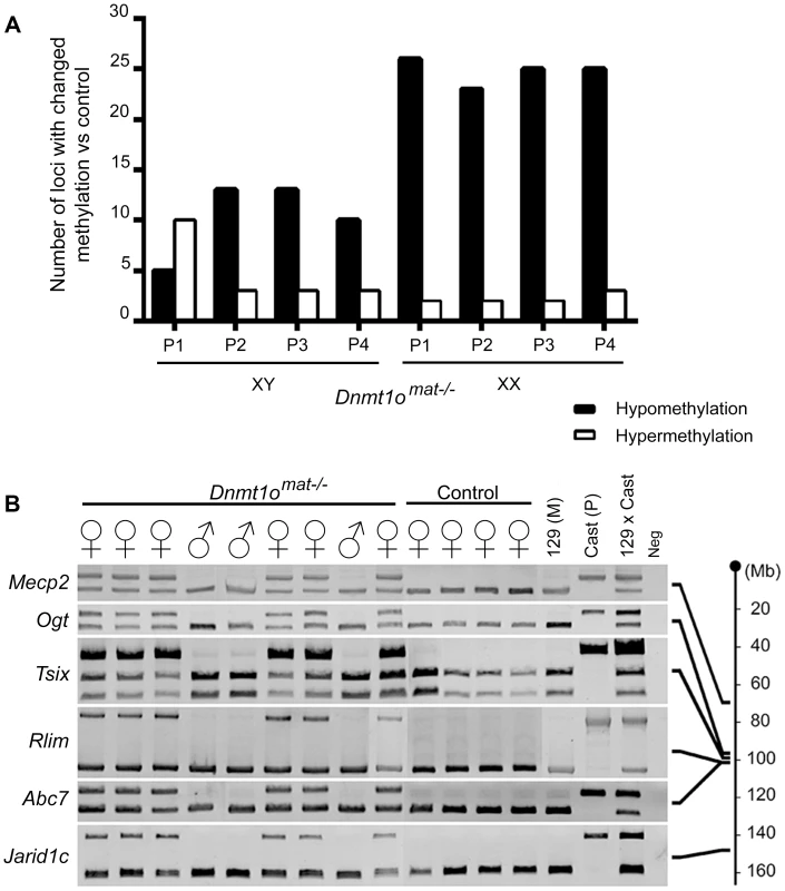 DNA methylation and allelic expression analyses of <i>Dnmt1o<sup>mat−/−</sup></i> female placentae.