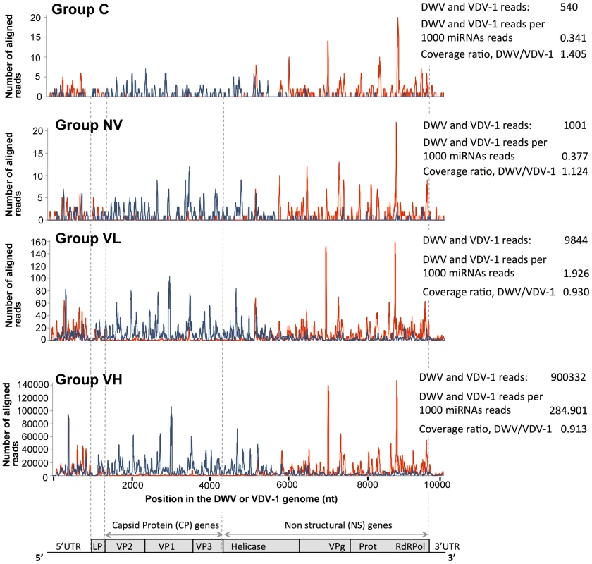 High-throughput sequencing of the honeybee small RNA libraries.