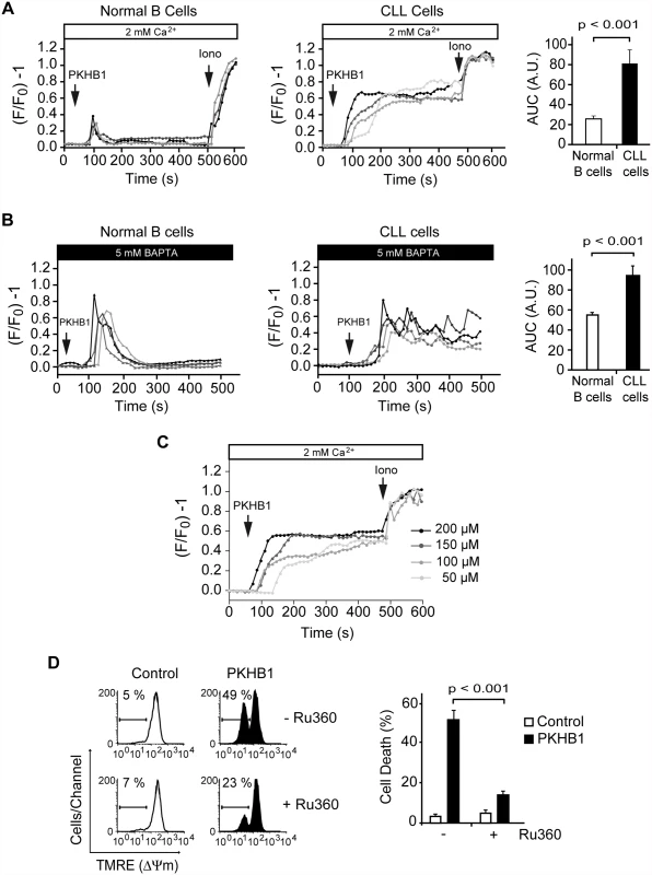 PKHB1 treatment results in sustained Ca<sup>2+</sup> mobilization that induces mitochondrial damage and PCD in CLL cells.