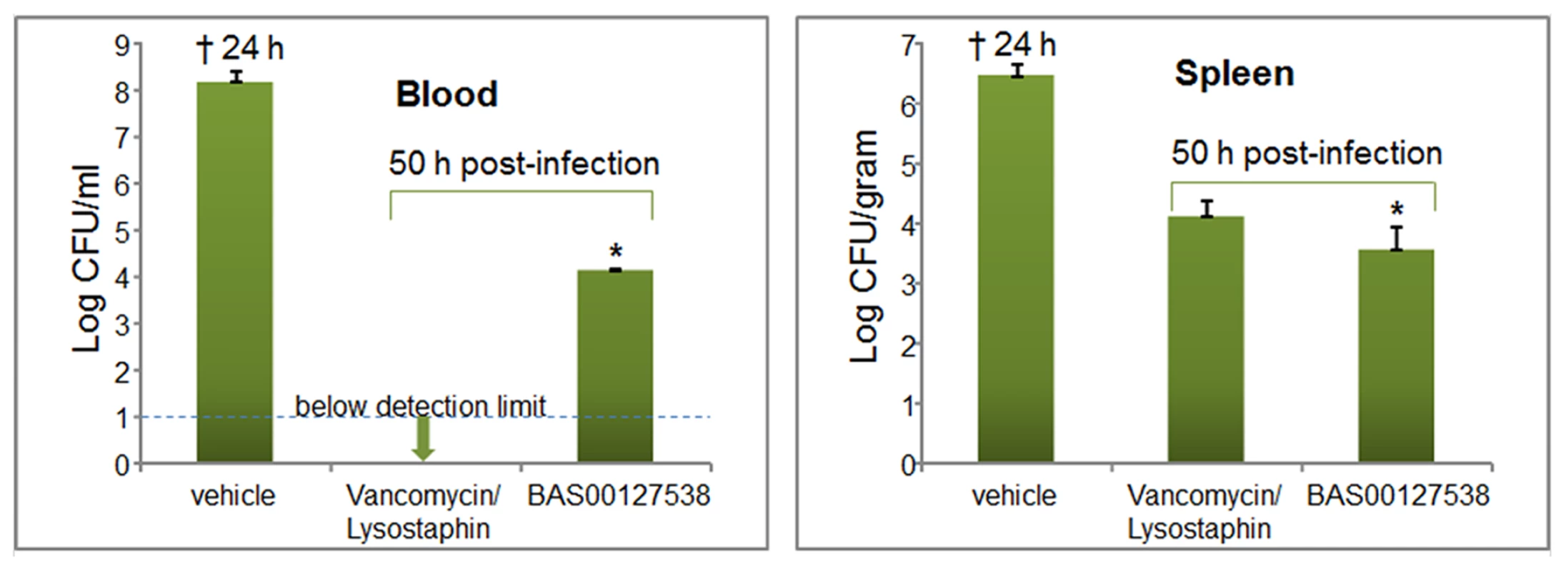 Efficacy of BAS00127538 <i>in vivo</i>.