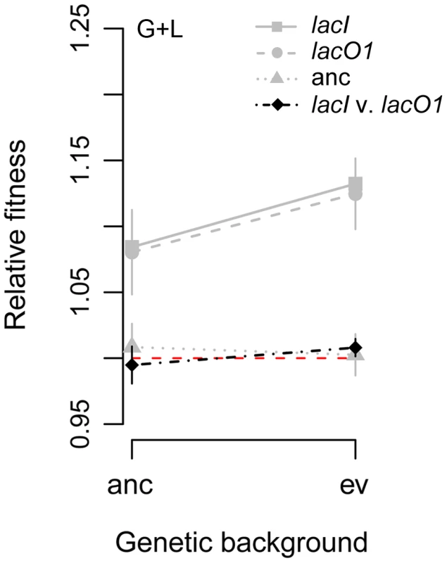 Fitness effect of <i>lacI</i> and <i>lacO1</i> mutations depend on genetic background.