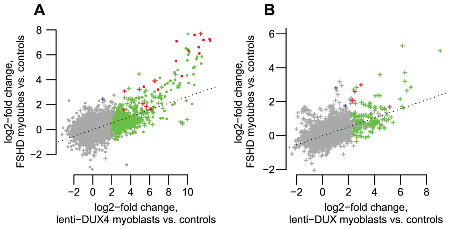 DUX4-bound regions are similarly activated in FSHD patient myotubes and in <i>DUX4</i>-transduced myoblasts.