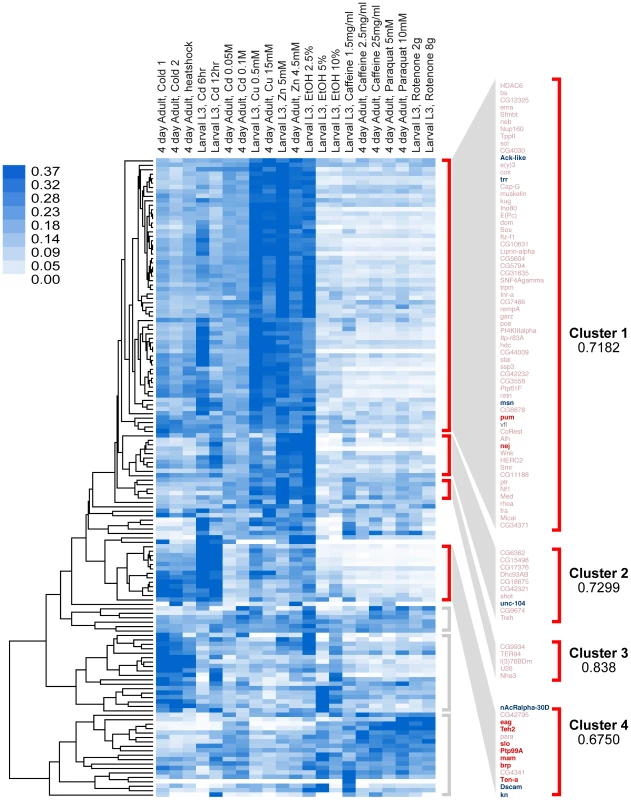 Clustering analysis by gene-expression patterns of genes identified in this study.