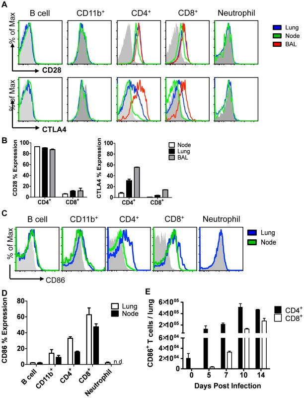 Cellular display of CD86 and its receptors CTLA4 and CD28 during resolution of IAV infection.