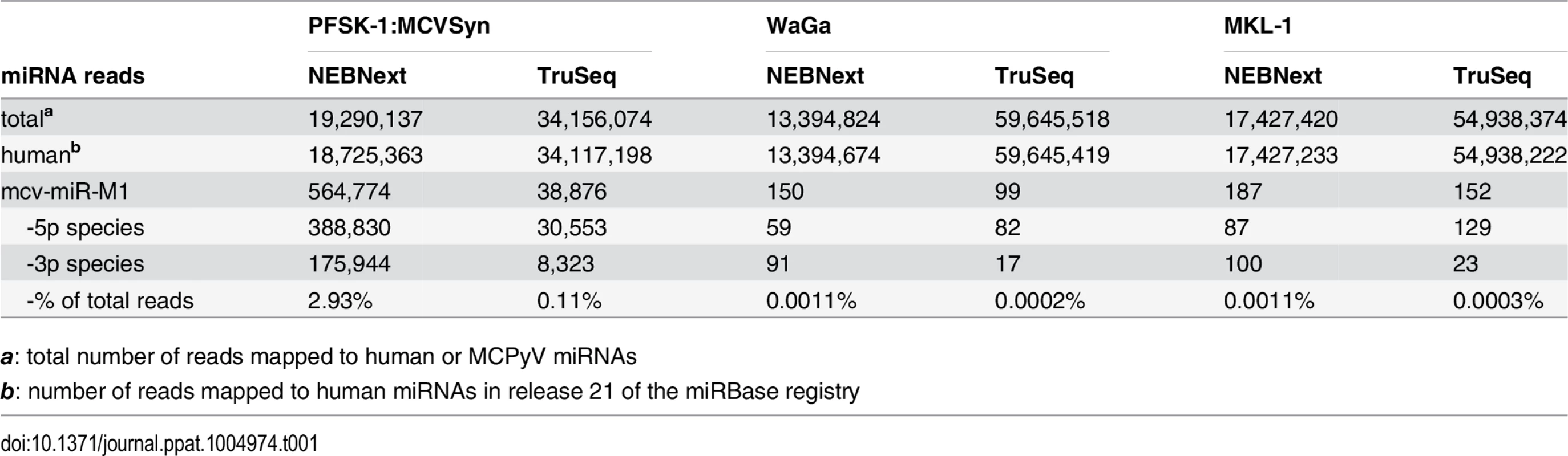 Small RNA-seq summary statistics.