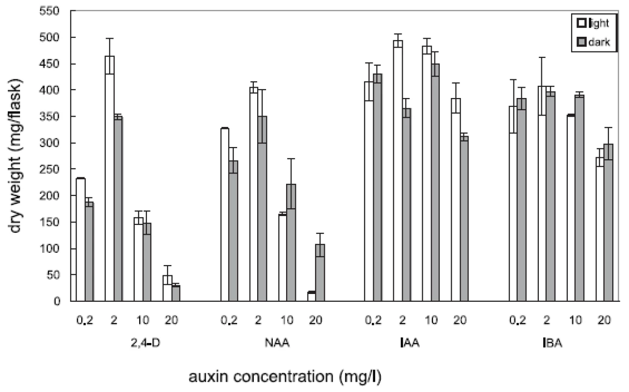 Effects of auxins on cell growth (dry biomass) in cell suspension cultures of Angelica archangelica L. cultured in the light or in the dark