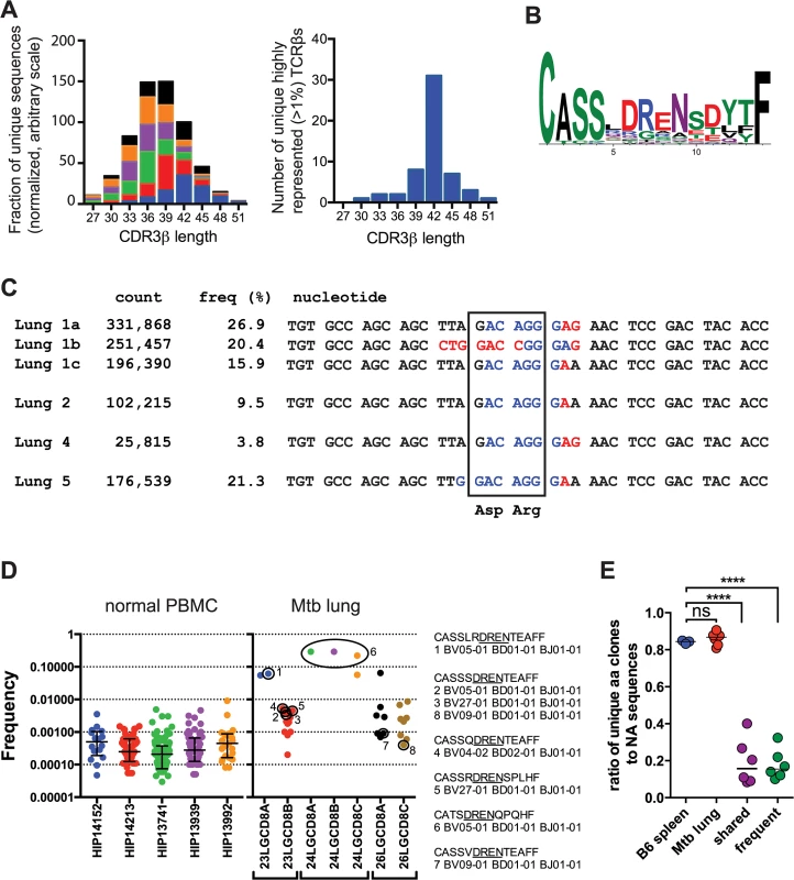 TB10.4-specific CD8+ T cells are selected during infection.