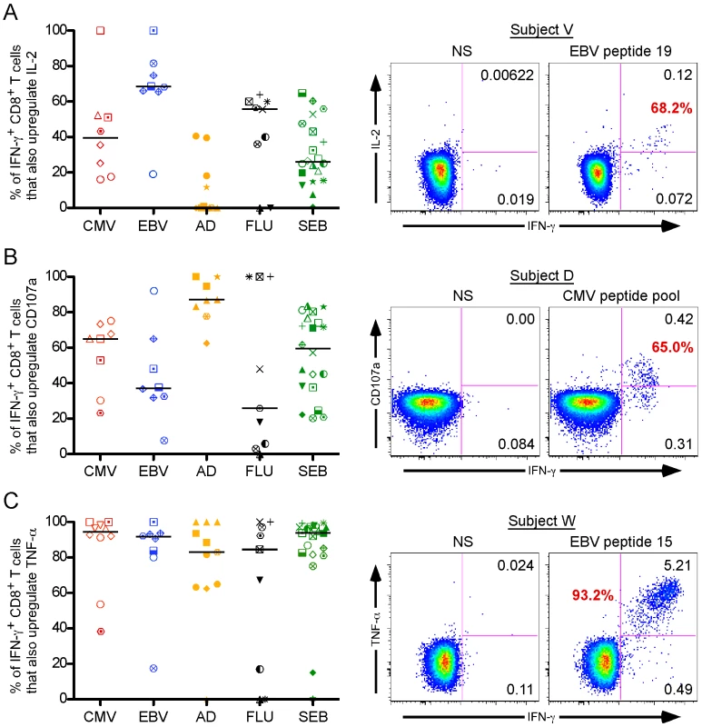 Individual CD8<sup>+</sup> T cell functions do not predict universal viral control.