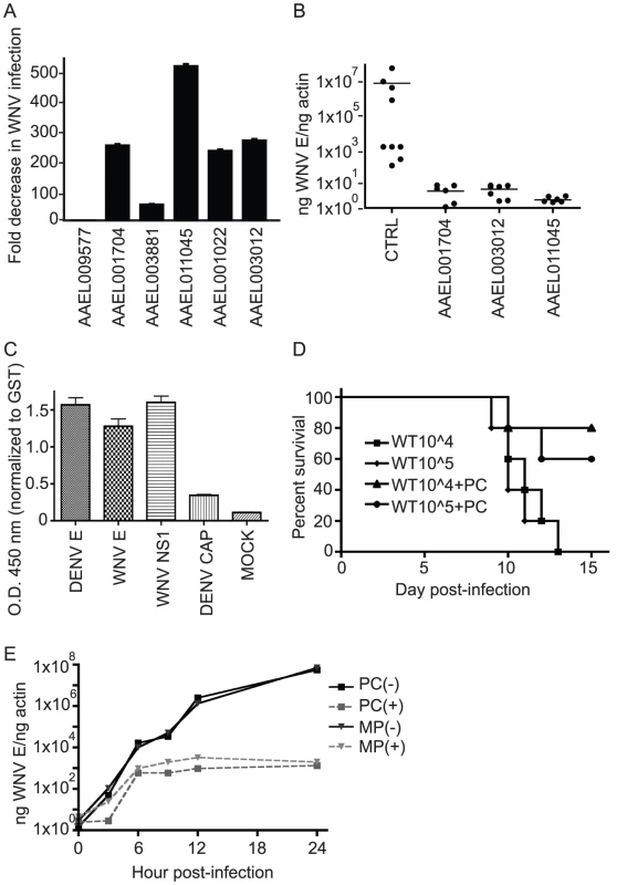 Overexpression of virally down-regulated genes impairs WNV infectivity.