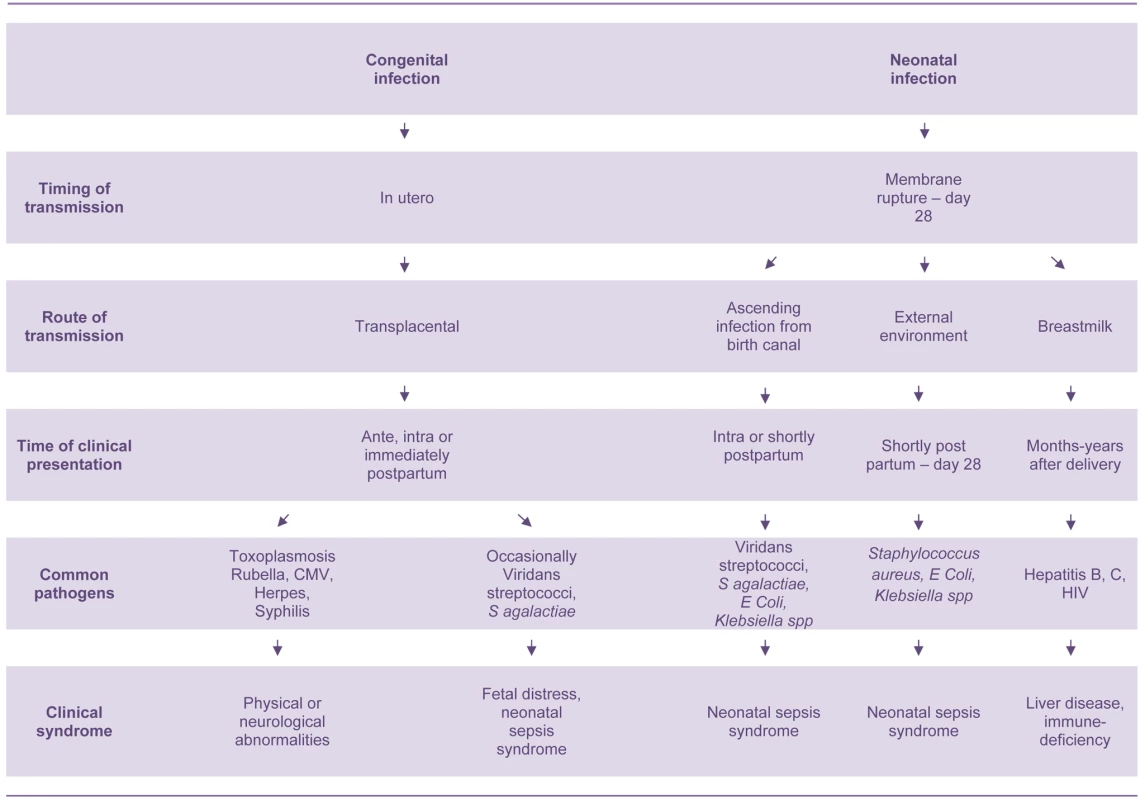 Pathogenesis of congenital and neonatal infections.