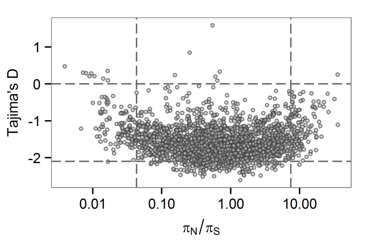 Gene-wise estimates of Tajima’s D and <i>π</i><sub><i>N</i></sub><i>/πS</i> at the between-host scale.