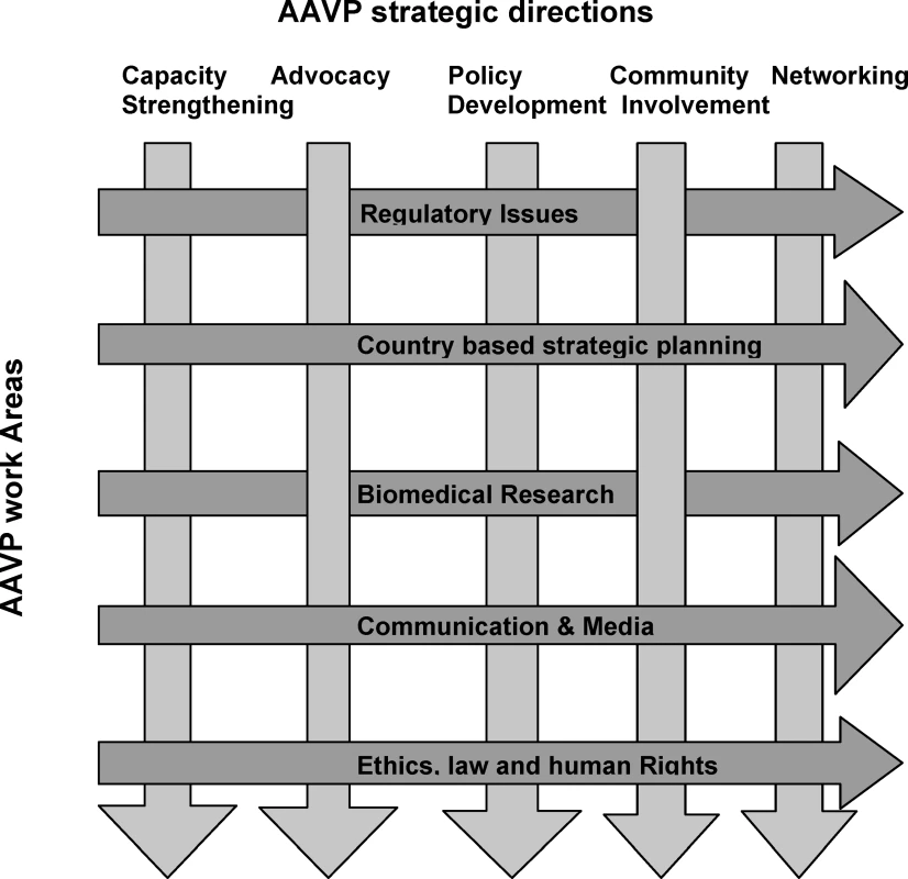 AAVP Strategic Directions and Work Areas