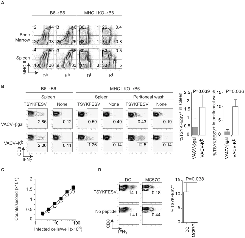 Only bone marrow derived cells prime anti-VACV T<sub>CD8+</sub> by DP.