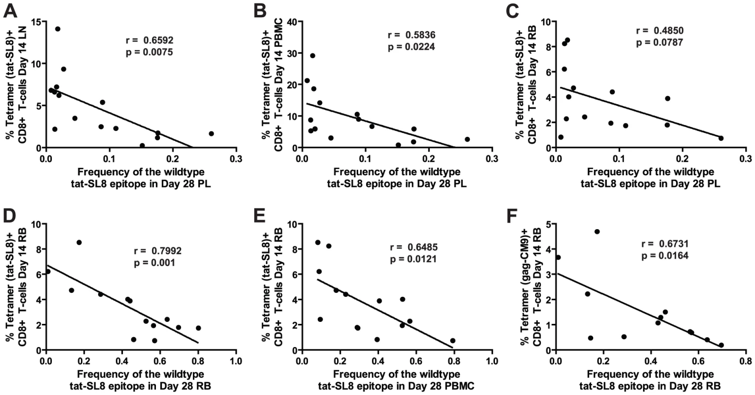 Anti-SIV immune responses in lymphoid tissues and rectal mucosa at day 14 post infection were significantly correlated with the level of tat-SL8 escape at day 28 post infection in the plasma virus and rectal mucosa, respectively.