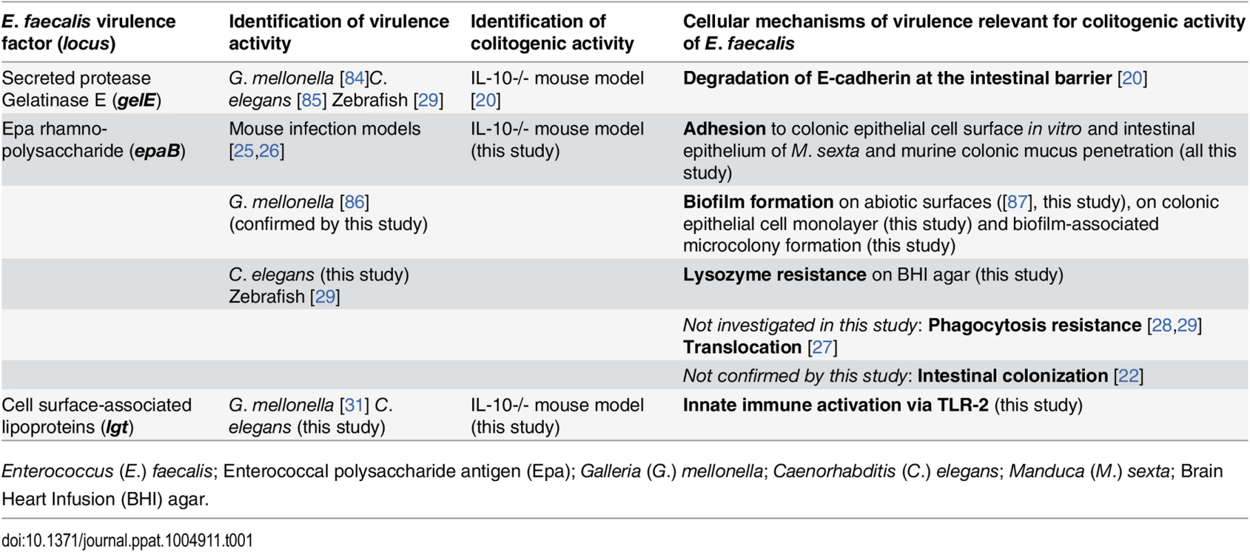 Virulence factors identified to be relevant for colitogenic activity of <i>E</i>. <i>faecalis</i> in the IL-10-/- mouse model and their proposed cellular mechanisms.