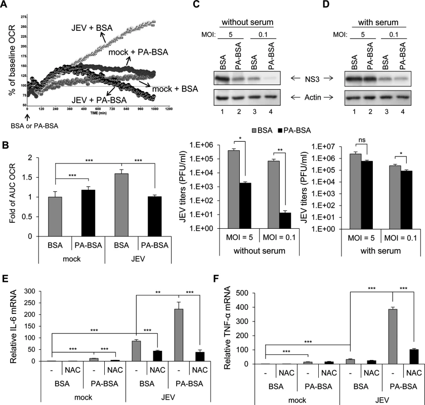 Impaired long-chain fatty acid (LCFA) β-oxidation and induction of reactive oxygen species (ROS)-dependent pro-inflammatory cytokines in cells infected with Japanese encephalitis virus (JEV).