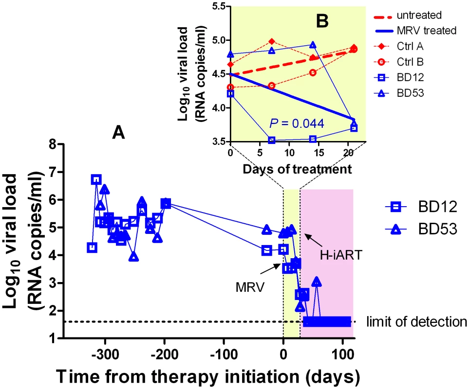 Ritonavir-boosted MRV (MRV/r) is able to decrease viremia <i>in vivo</i>.