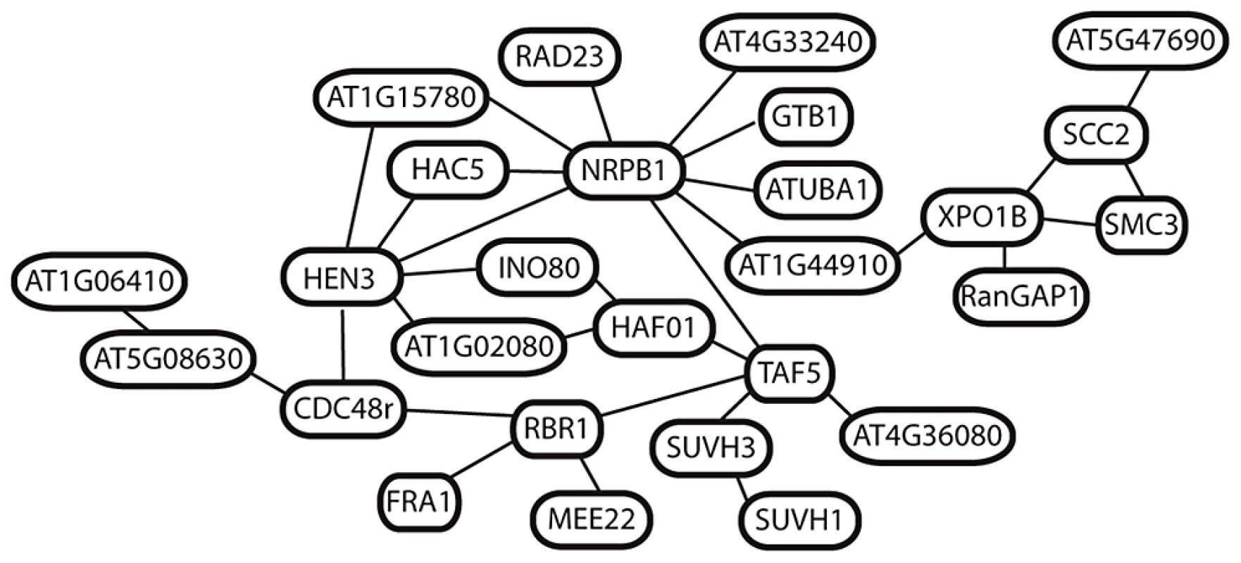 Predicted interactions among 27 putatively selected genes in <i>A. arenosa</i>.