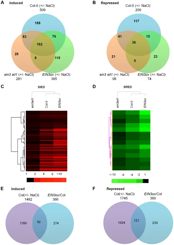 Transcriptome profiling analyses identify salt-regulated EIN3/EIL1-dependent genes.