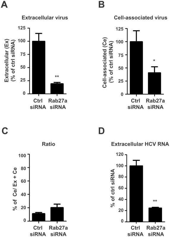 Extracellular and cell-associated virion abundances in Rab27a-depleted cells.