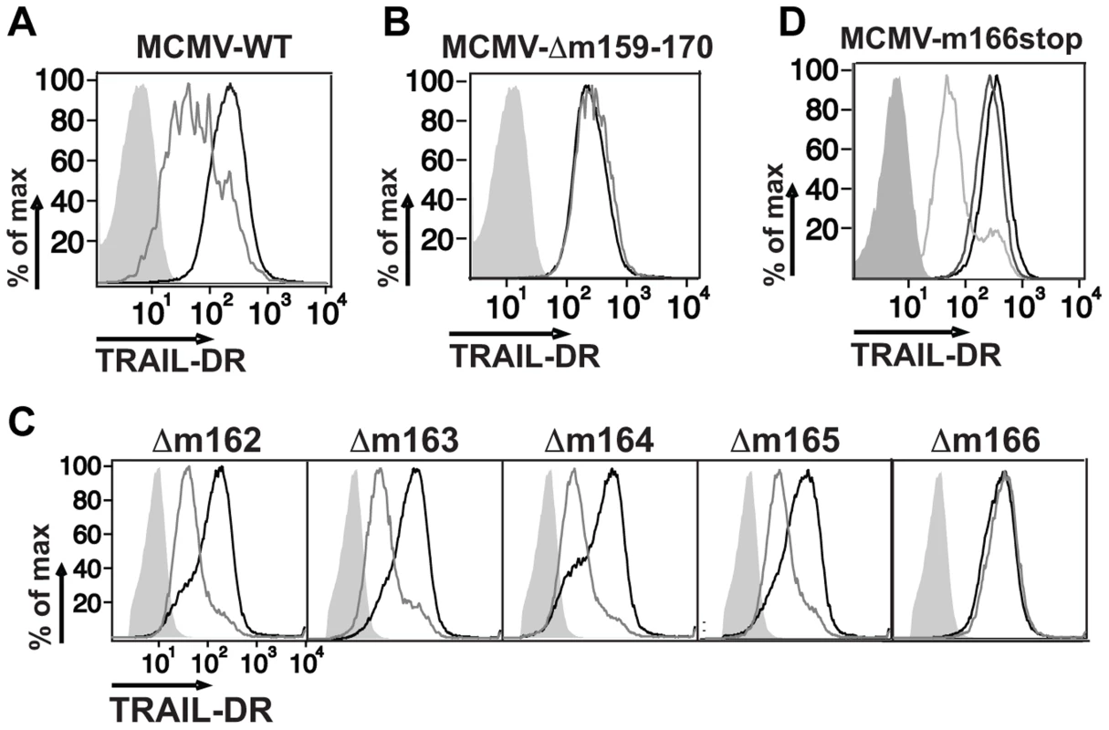 Inhibition of TRAIL-DR cell surface expression by MCMV requires m166.